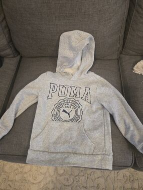 Puma Light Gray Hooded Sweatshirt with Navy Logo